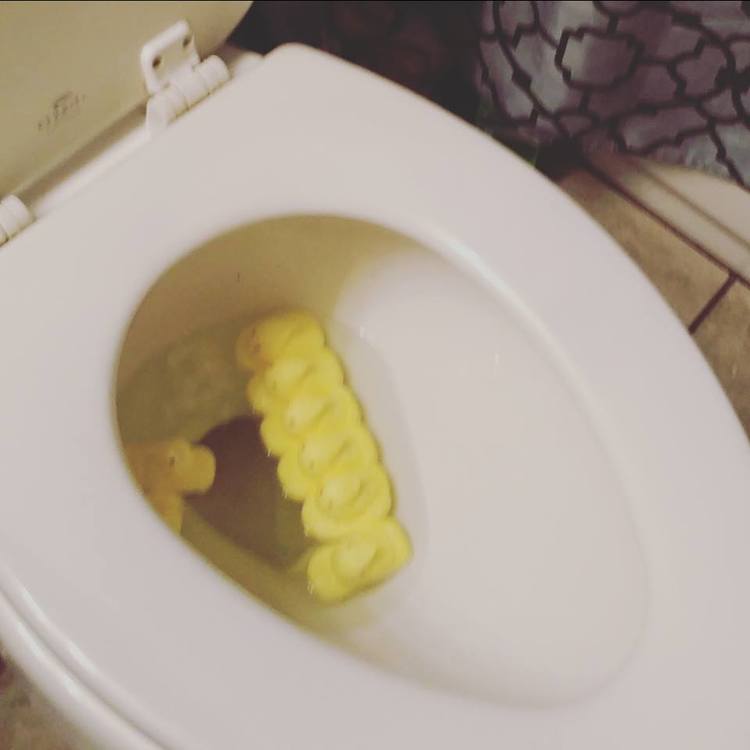 peeps+in+toilet?format=750w