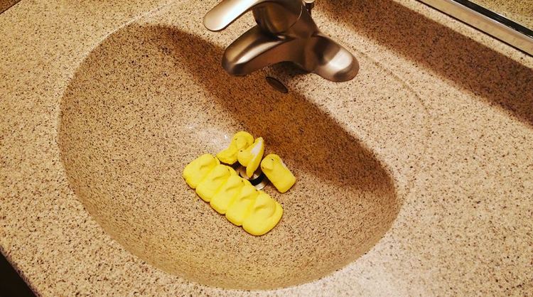 peeps+in+sink?format=750w