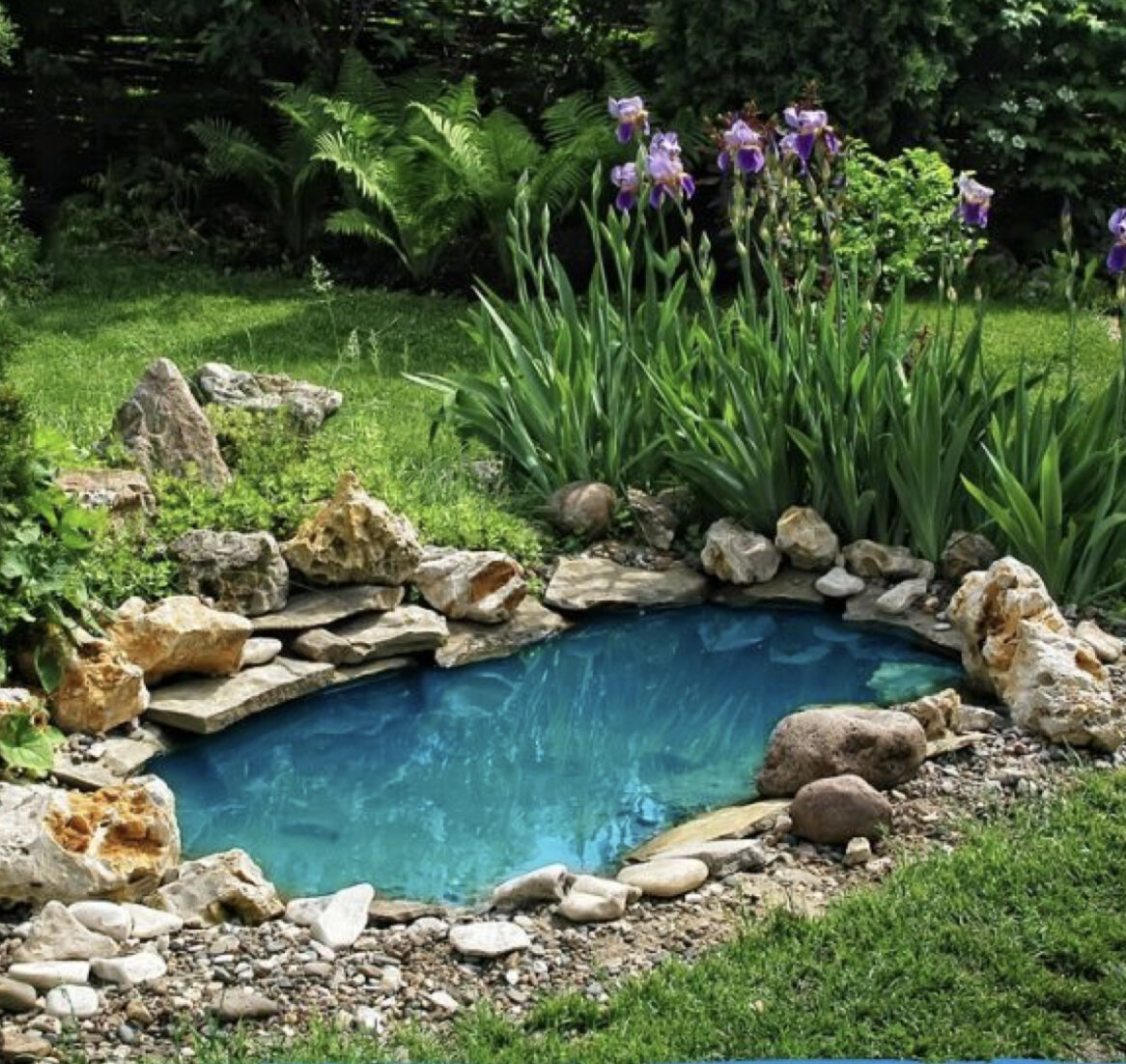 Small pond with rock features